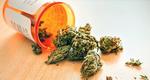 Medical Marijuana